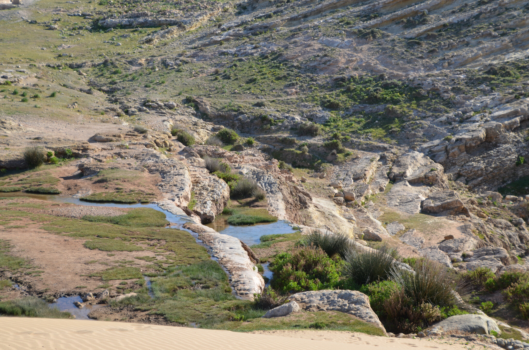 Les cascades de Sidi M'barek